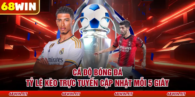 Cá Độ Bóng Đá - Tỷ Lệ Kèo Trực Tuyến Cập Nhật Mỗi 5 Giây