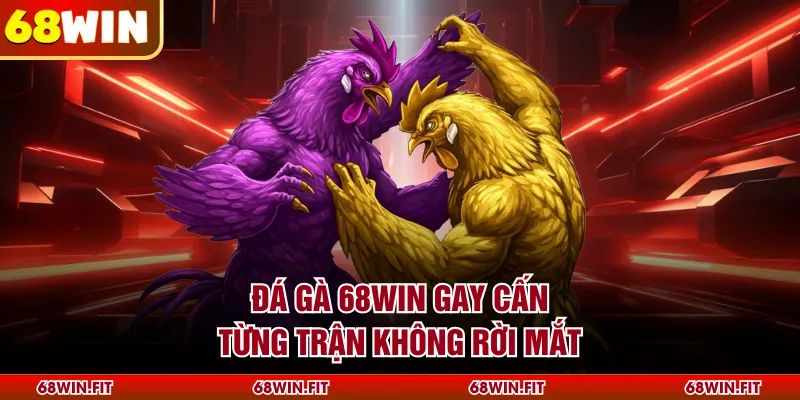 Đá gà 68WIN gay cấn từng trận không rời mắt